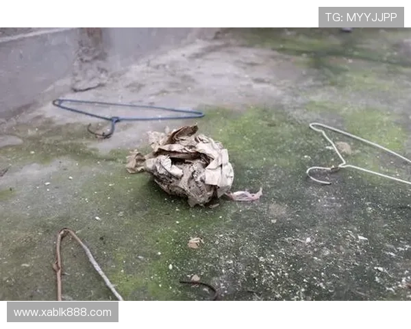 谁是真凶?《消失的街道》15个线索,直指最不可能的人!