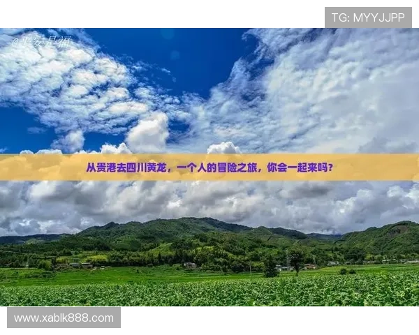 《风和日丽》:一曲温情颂歌,照进你我的生活